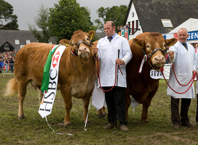 Beef Pairs