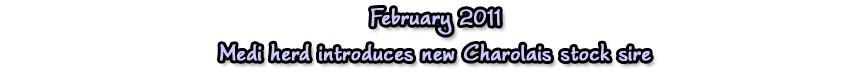 feb11medi
