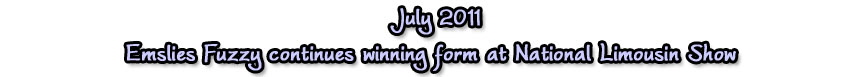 fuzzyjul11