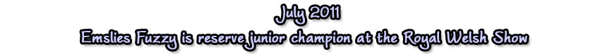 jul11rwas