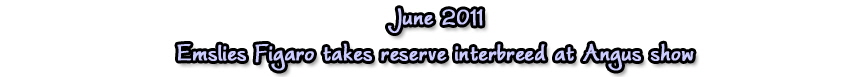 jun11angus