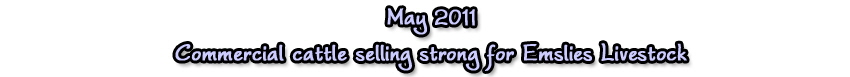 may11com