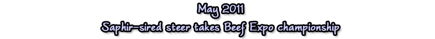 may11saphir