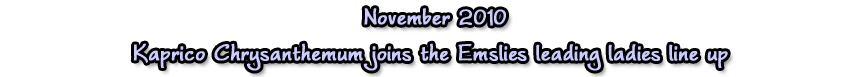 nov 10 1