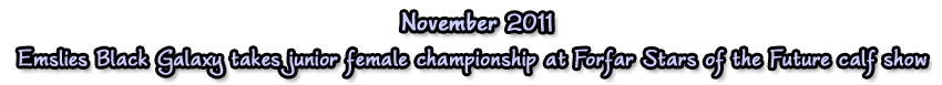 nov11 nov11
