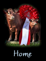 Emslies Livestock Emslies Livestock