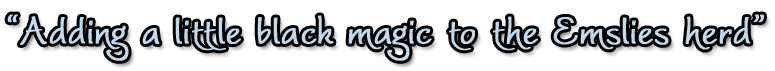 magic