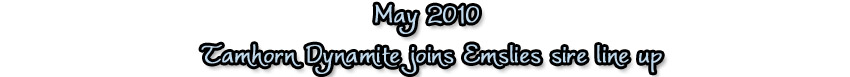 may10 blue may10 blue