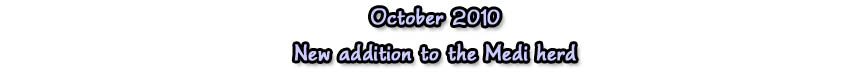 oct10medi oct10medi